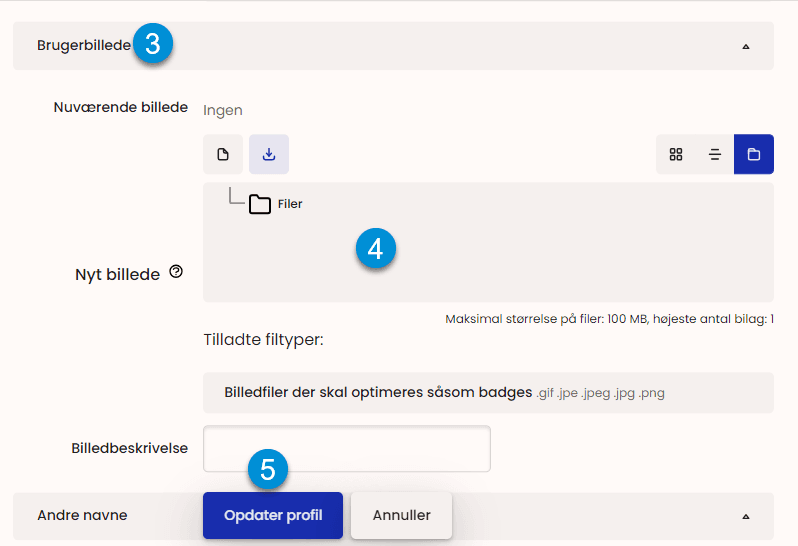 User Image section